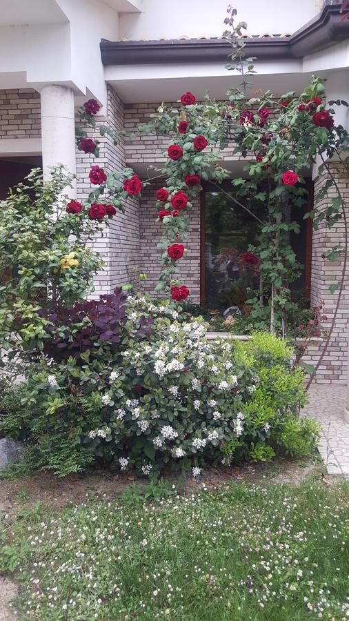 Villa Gioia Rooms Montegranaro Exterior photo